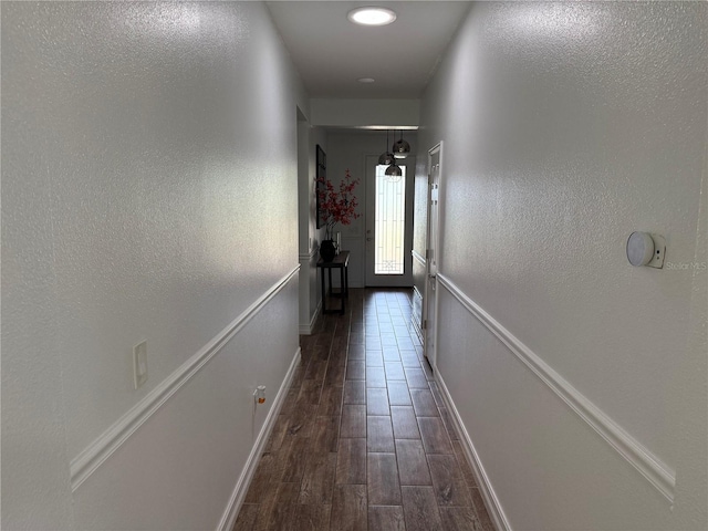 33193 Shadow Branch Ln, Wesley Chapel, FL 33545 - photo 14