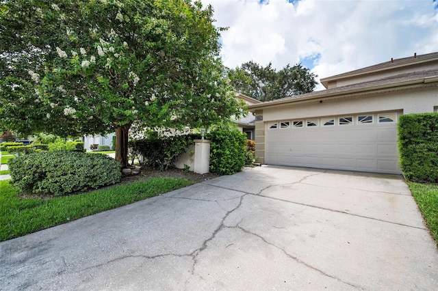 2555 Northfield Ln, Clearwater, FL 33761 - photo 1