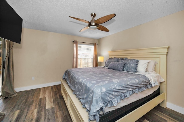 2555 Northfield Ln, Clearwater, FL 33761 - photo 18