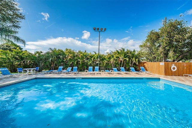 2555 Northfield Ln, Clearwater, FL 33761 - photo 50