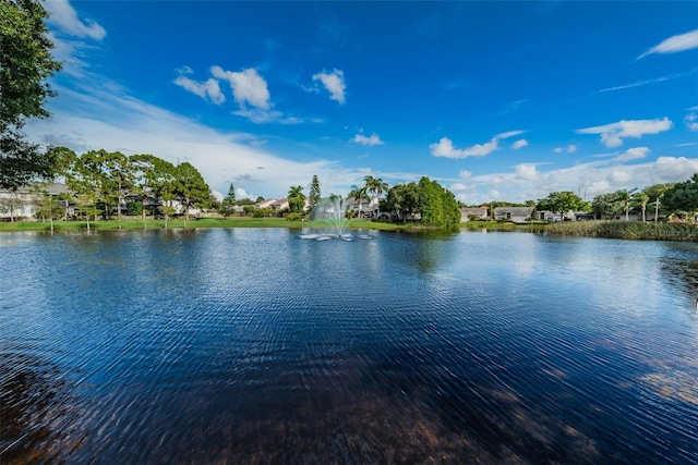 2555 Northfield Ln, Clearwater, FL 33761 - photo 58