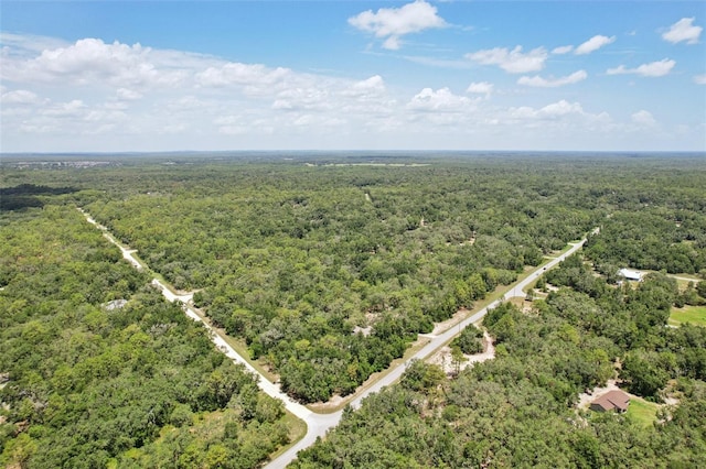 33433 Loop Ct, Webster, FL 33597 - photo 59
