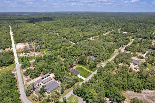 33433 Loop Ct, Webster, FL 33597 - photo 63