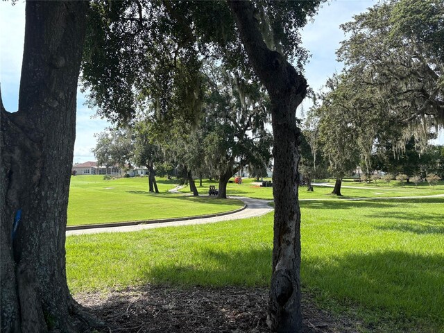 13423 Trailing Moss Dr, Dade City, FL 33525 - photo 4