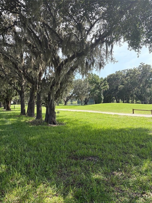 13423 Trailing Moss Dr, Dade City, FL 33525 - photo 5