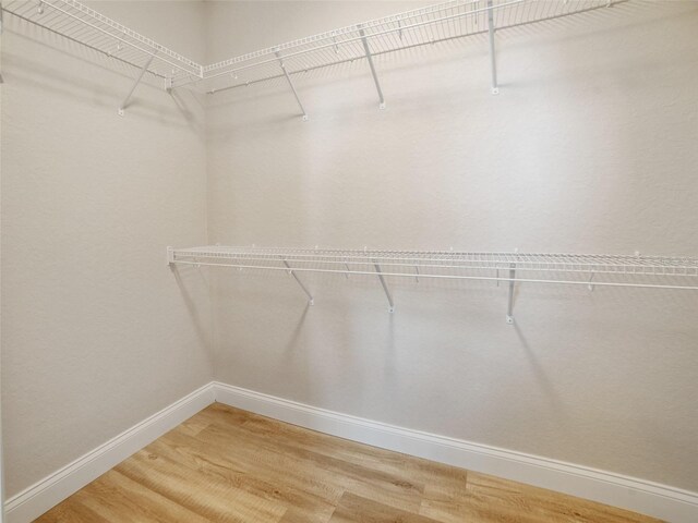 239 Burbank Ave, Lakeland, FL 33801 - walk in closet with light wood finished floors