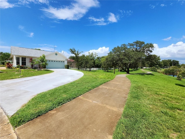 11653 Orleans Ln, Port Richey, FL 34668 - view of front of house featuring an attached garage, a front yard, and concrete driveway