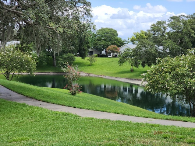 11653 Orleans Ln, Port Richey, FL 34668 - surrounding community with a water view and a lawn
