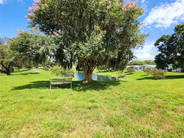 11653 Orleans Ln, Port Richey, FL 34668 - view of green lawn with a water view