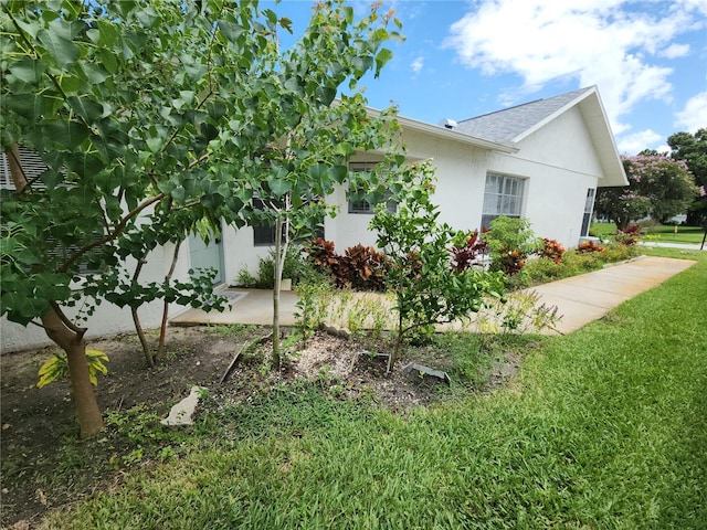 11653 Orleans Ln, Port Richey, FL 34668 - view of side of home with stucco siding and a lawn