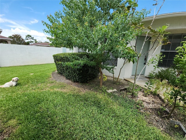 11653 Orleans Ln, Port Richey, FL 34668 - view of yard