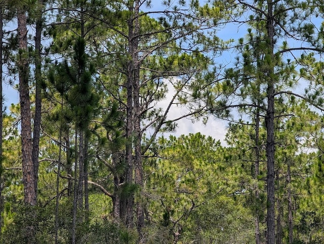 Deland Ave, Indian Lake Estates, FL 33855