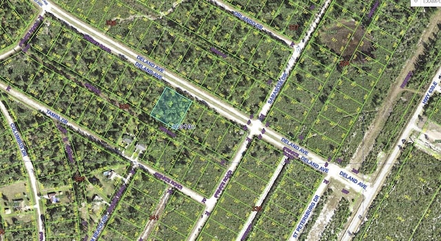 Deland Ave, Indian Lake Estates, FL 33855