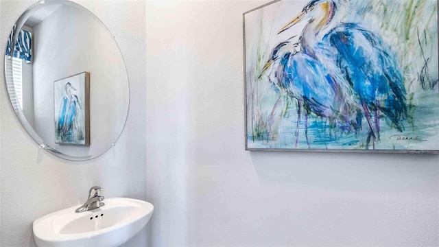 8110 Swan Mist Way, Wesley Chapel, FL 33545 - bathroom featuring a sink