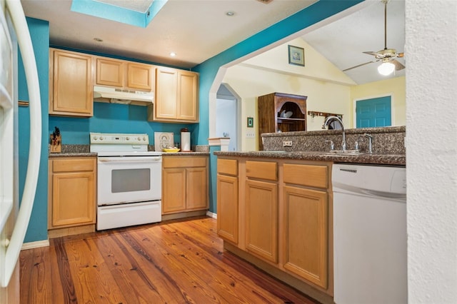 8006 N Temple Pl, Tampa, FL 33617 - photo 2