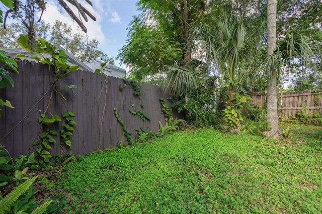 8006 N Temple Pl, Tampa, FL 33617 - photo 23