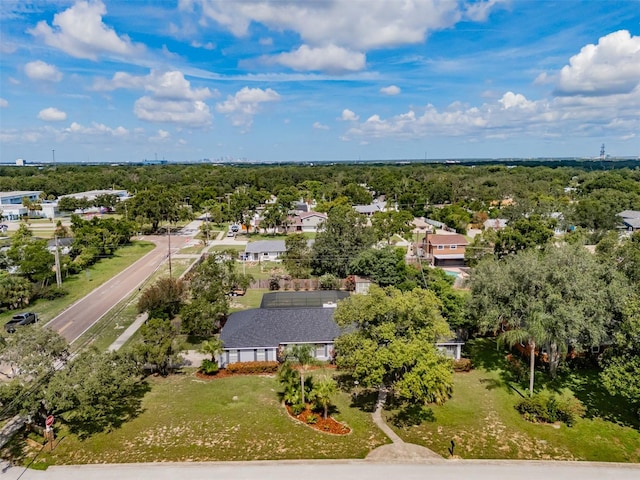 1302 Ivywood Dr, Brandon, FL 33510 - aerial perspective of suburban area featuring a tree filled landscape