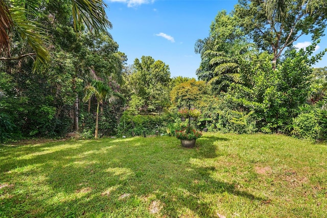 2161 Cypress Point Dr N, Clearwater, FL 33763 - photo 8