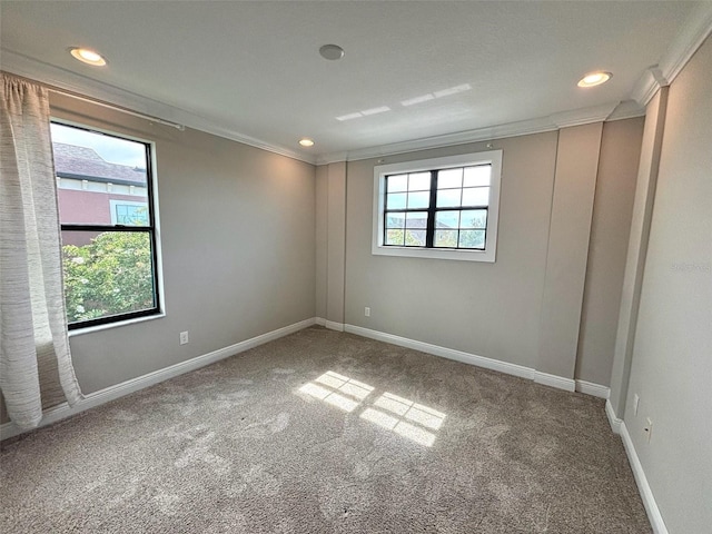 1668 Nature View Dr, Lutz, FL 33558 - photo 22