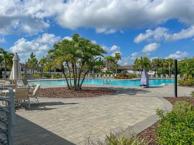 13646 Wild Ginger St, Riverview, FL 33579 - community pool featuring a patio area