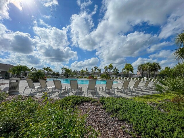 13646 Wild Ginger St, Riverview, FL 33579 - community pool featuring a patio area