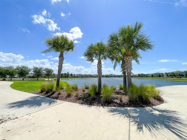 13646 Wild Ginger St, Riverview, FL 33579 - water view