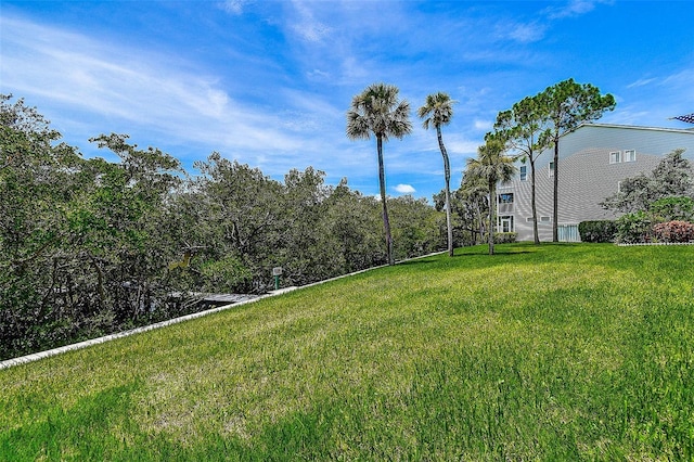 14865 Seminole Trl, Seminole, FL 33776 - view of grassy yard