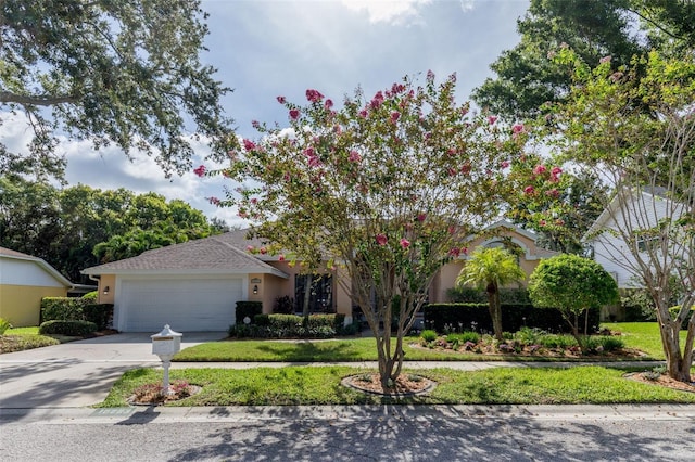 10293 Shady Oak Ln, Seminole, FL 33777 - photo 7