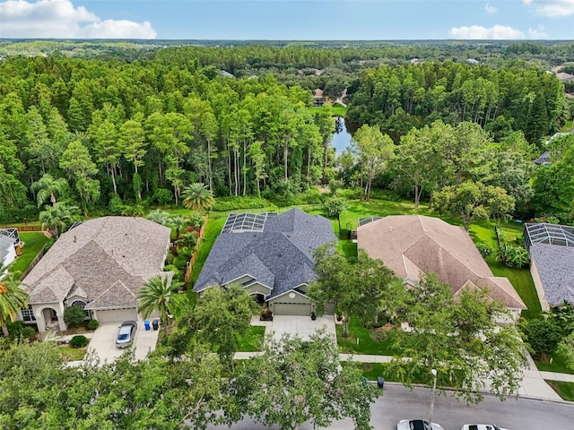 19410 French Lace Dr, Lutz, FL 33558 - photo 67