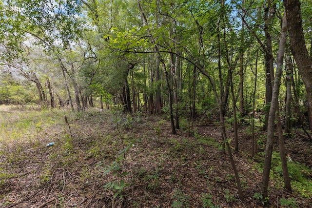 8198 Shasta St, Webster, FL 33597