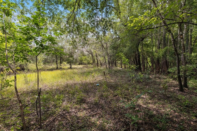 8198 Shasta St, Webster, FL 33597