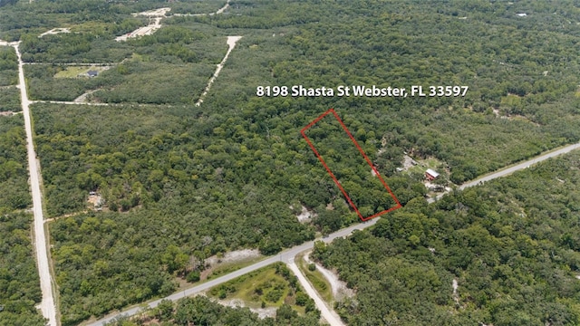 8198 Shasta St, Webster, FL 33597