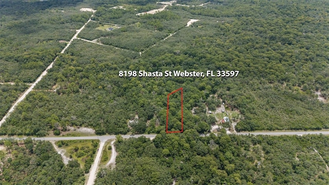 8198 Shasta St, Webster, FL 33597