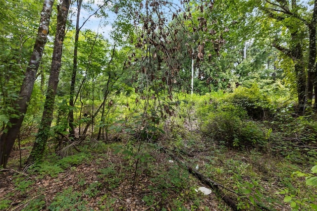 8198 Shasta St, Webster, FL 33597