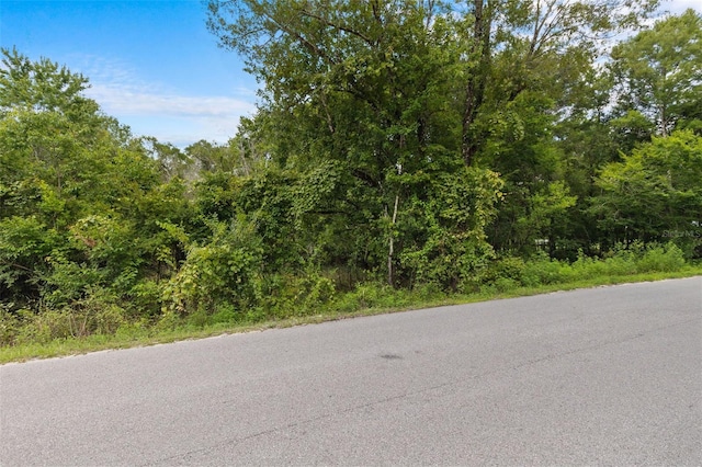 8198 Shasta St, Webster, FL 33597