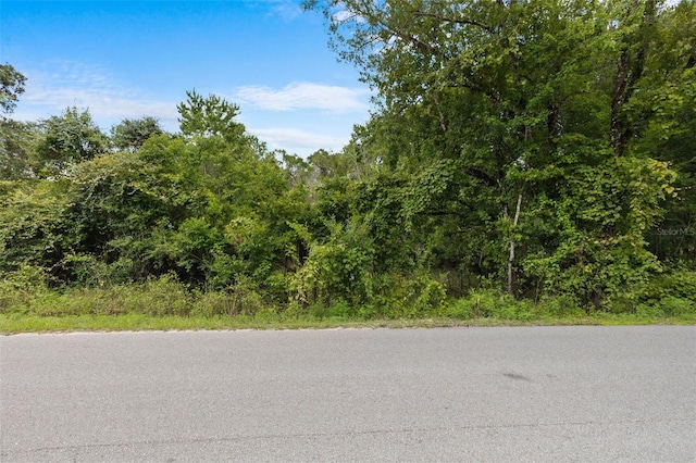 8198 Shasta St, Webster, FL 33597
