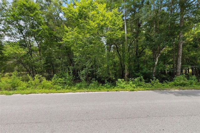 8198 Shasta St, Webster, FL 33597