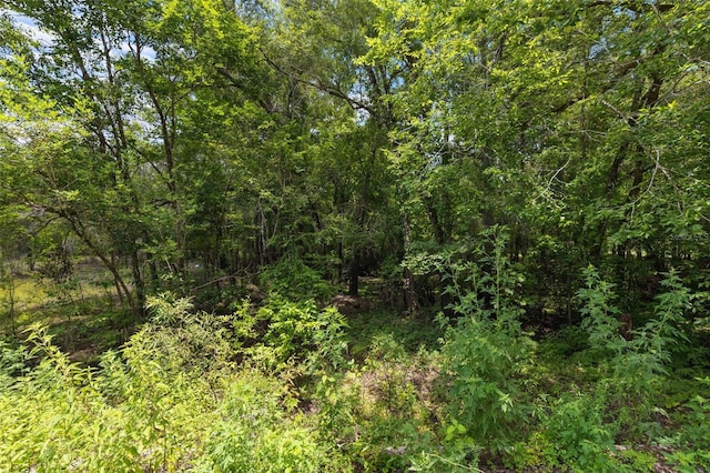 8198 Shasta St, Webster, FL 33597