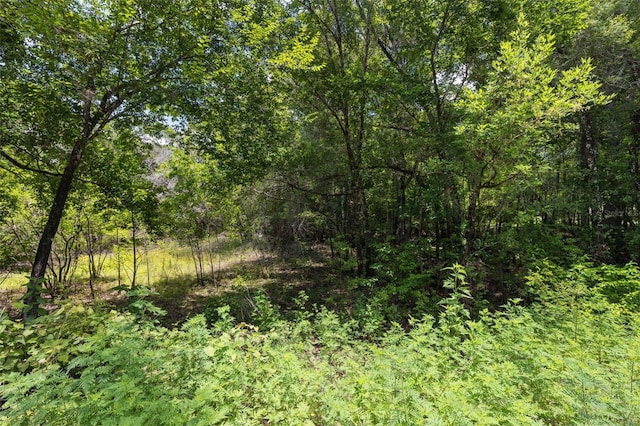 8198 Shasta St, Webster, FL 33597