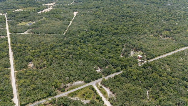 8198 Shasta St, Webster, FL 33597