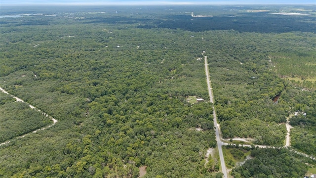 8198 Shasta St, Webster, FL 33597