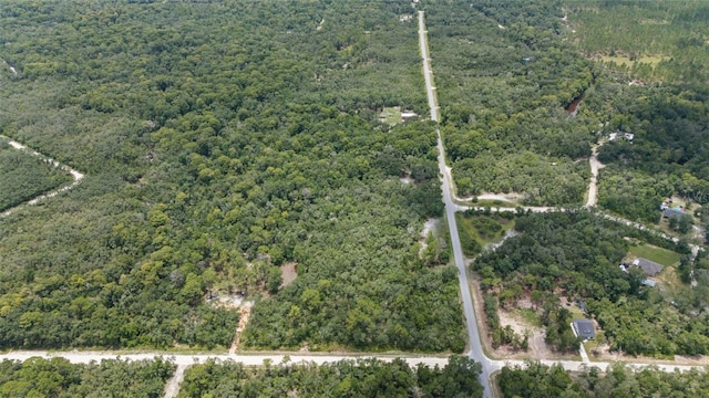 8198 Shasta St, Webster, FL 33597