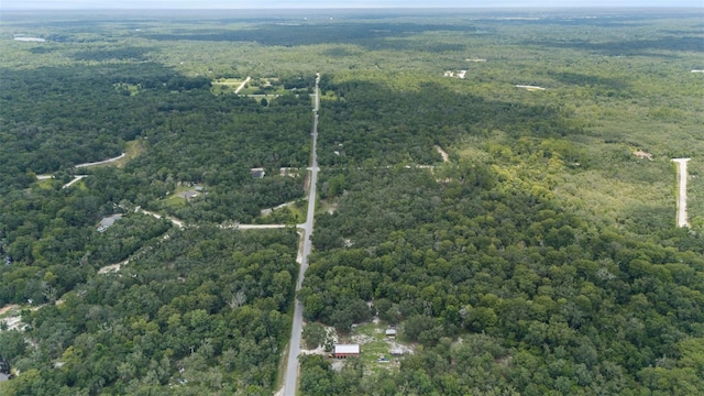 8198 Shasta St, Webster, FL 33597