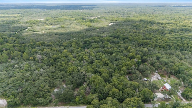 8198 Shasta St, Webster, FL 33597