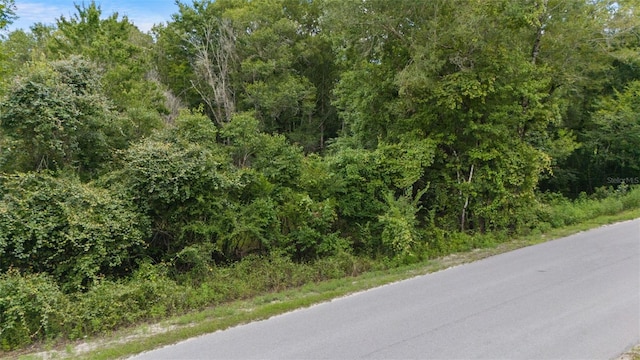 8198 Shasta St, Webster, FL 33597