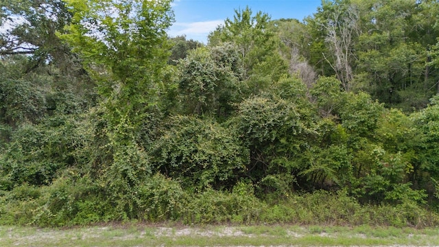 8198 Shasta St, Webster, FL 33597