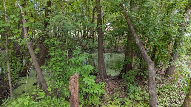 8198 Shasta St, Webster, FL 33597