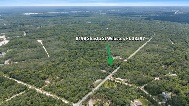 8198 Shasta St, Webster, FL 33597