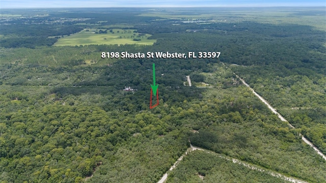 8198 Shasta St, Webster, FL 33597