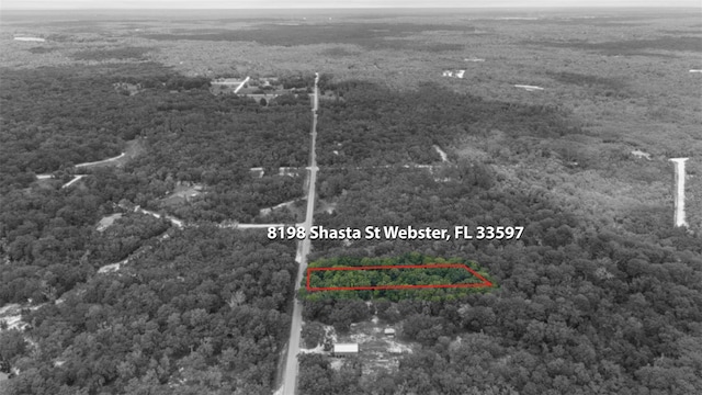 8198 Shasta St, Webster, FL 33597